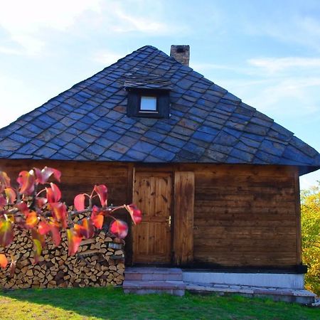 Cabin Menka Sirogojno Exterior foto
